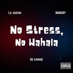 No Stress, No Wahala (NSNW) (Explicit)