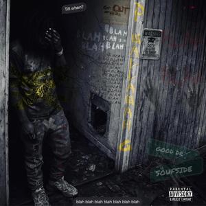 Terps (feat. ProfitChild) (Explicit)