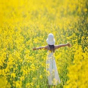 去往花开的地方