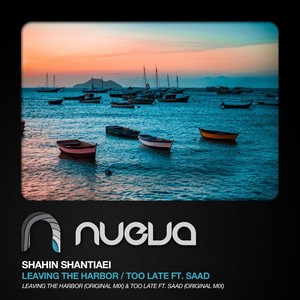 Shahin Shantiaei - Too Late
