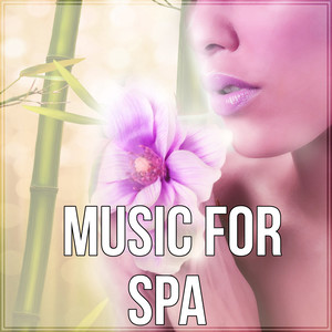 Music for Spa – Wellness, Background Music, Sounds of Nature Music, Calm Music, Massage Therapy, Reiki Healing, Relaxing Track, Peaceful Music