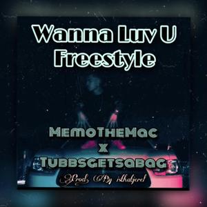 Wanna Luv U (Freestyle) [feat. TUBBSGETSABAG] [Explicit]