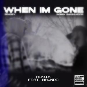 When I'm Gone (feat. Brvndo) [Remix] [Explicit]