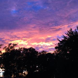 Light Switch (Explicit)