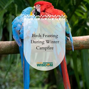 Purity of Mind at Campfire