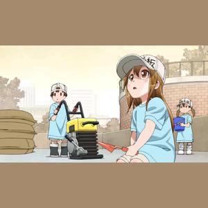 血小板之歌（超萌少萝音）