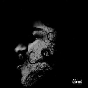 at night look up you might see dots moving