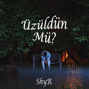 Üzüldün Mü? (Explicit)