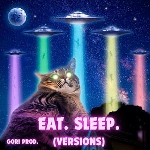 Eat. Sleep. (Versions)