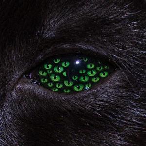 GMFU (feat. Deetranada) (Explicit)