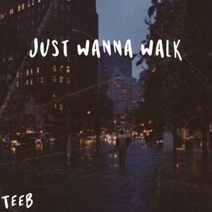 Just Wanna Walk (Explicit)