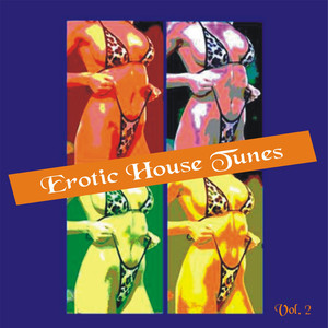 Erotic House Tunes Vol. 2