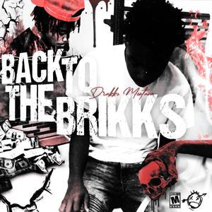 Back To The Brikks (Explicit)