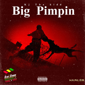 Big Pimpin (Explicit)