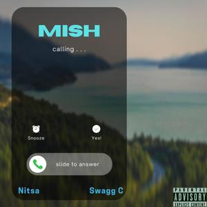 Call Me Mish (feat. Swagg C) (Explicit)