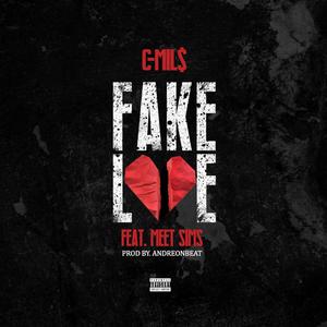 Fake Love (feat. Meet Sims) [Explicit]