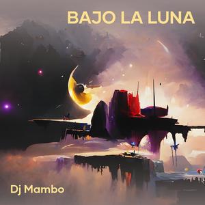 bajo la luna