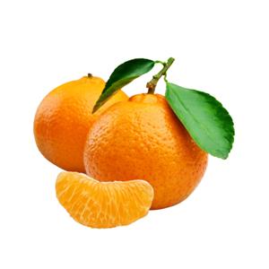 Impilo (Nariki) (feat. Percy5, Sgari S.A, Smosh SA & Sta Sonic TSK)