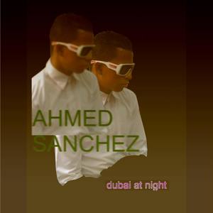 Dubai At Night (Remix|Ozel Ab Static Dream Mix)