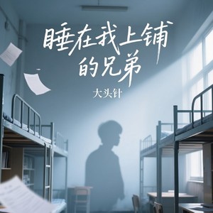 睡我上铺的兄弟 (烟嗓版)封面