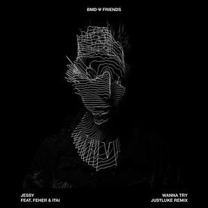 Wanna Try (JustLuke Remix)