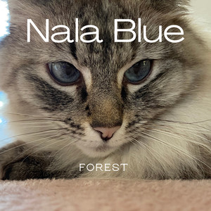 Nala Blue