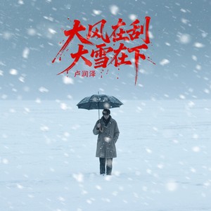 大风在刮大雪在下 (DJ默涵版)