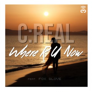 C:Real - Where R U Now (Roni Iron Escape Mix)