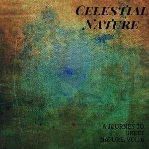 Celestial Nature - A Journey to Greet Nature, Vol. 6