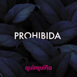 Quirquiña - Prohibida - Remake 2020 (Remake 2020)