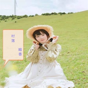 故乡的歌谣DJ版 (DJ版)