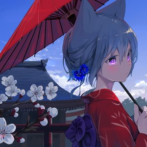 但见樱花开