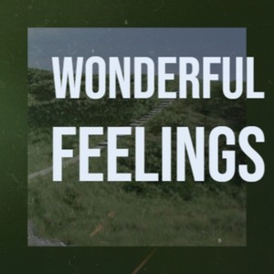 Wonderful Feelings