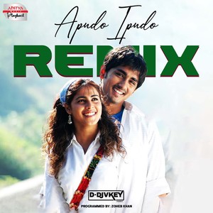 Apudo Ipudo Remix (From "Bommarillu")