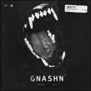 GNASH'N