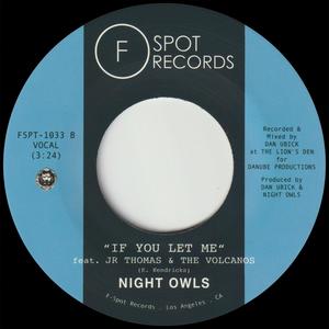 If You Let Me (feat. Jr Thomas & The Volcanos)