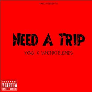 Need A Trip (Explicit)