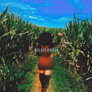 Elyvn - Wildflower (Explicit)