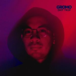 DMT Trip (feat. Lord Jah-Monte Ogbon) (Explicit)