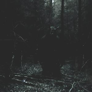 Wearing Their Skin (Explicit)