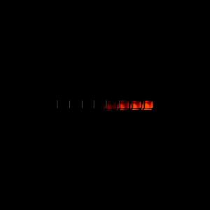 Strange Business (Progressive Version)