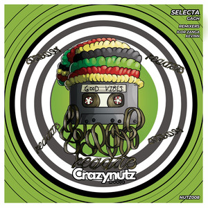 Selecta (Igor Zanga Remix - Radio Edit)