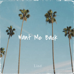 Want Me Back (Explicit)