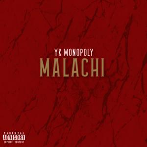 Bipolarness(feat. DJ cool breeze) (Explicit)