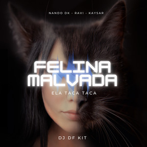 Felina Malvada (Ela Taca Taca) (Explicit)
