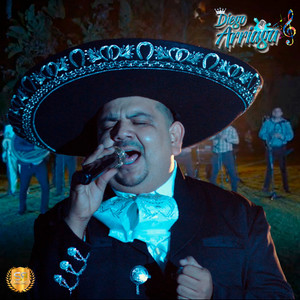Si ya no te vuelvo a ver (Cover)