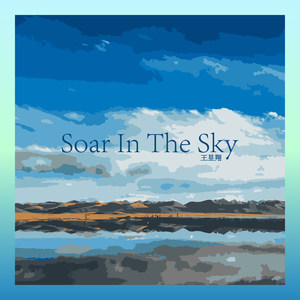 Soar In The Sky