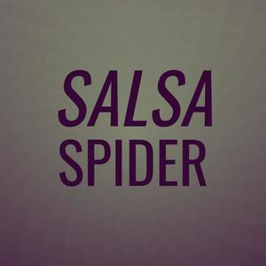 Salsa Spider