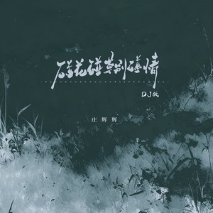 碰花碰草别碰情(DJ版)