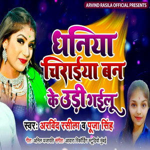 Dhaniya Chiraiya Banake Udi Gailu